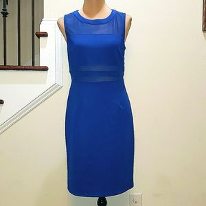 Spense cobalt blue mesh dress